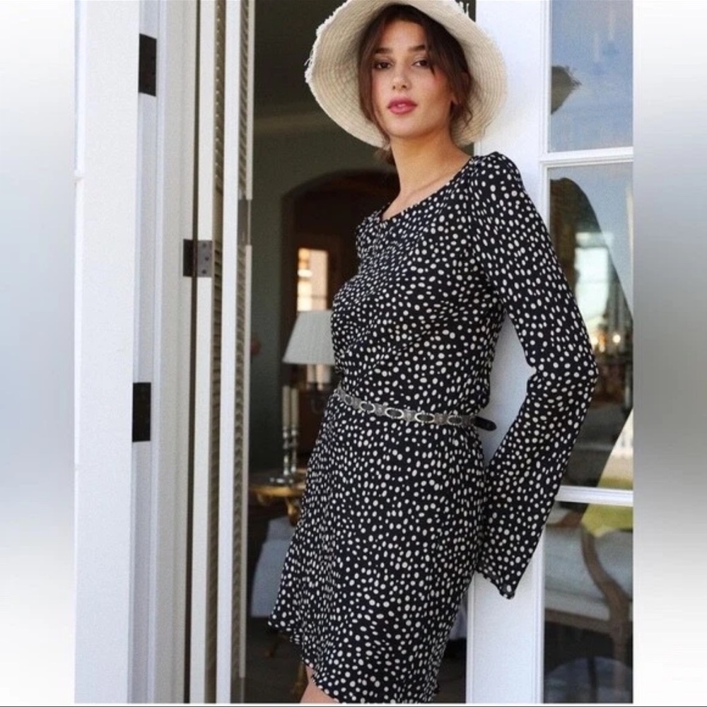 Stone Cold Fox Baiser Dress